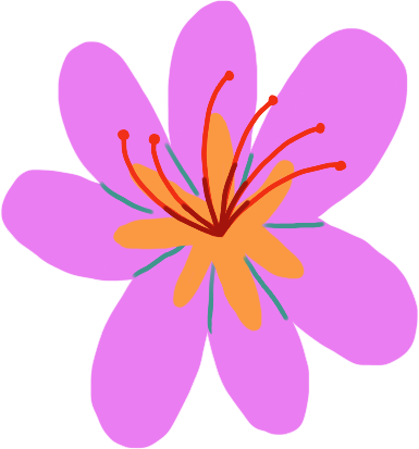 Whole Kashmiri Saffron Flower